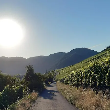 App 4 Pers 2 Schlafzimmer Mit Eigenen Badezimmer 2 Balkonen Alle Mit Moselblick * אדיגר-אלר