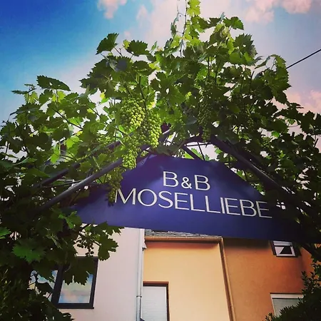 App 4 Pers 2 Schlafzimmer Mit Eigenen Badezimmer 2 Balkonen Alle Mit Moselblick