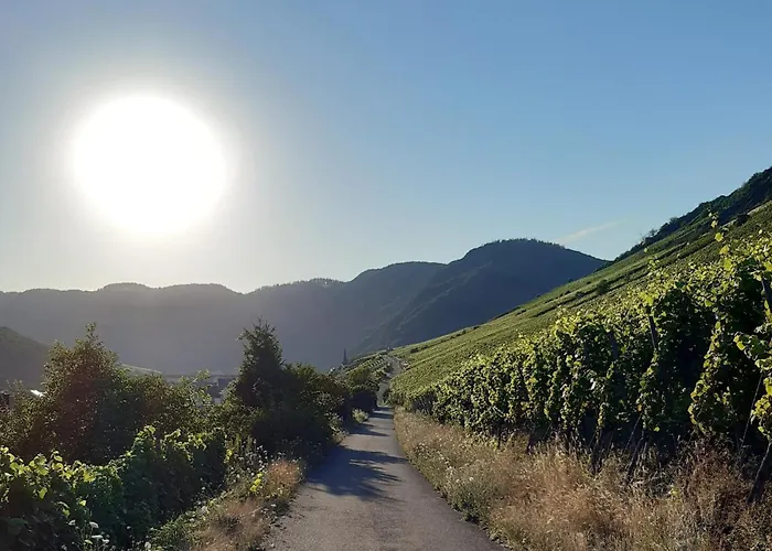 App 4 Pers 2 Schlafzimmer Mit Eigenen Badezimmer 2 Balkonen Alle Mit Moselblick * Ediger-Eller