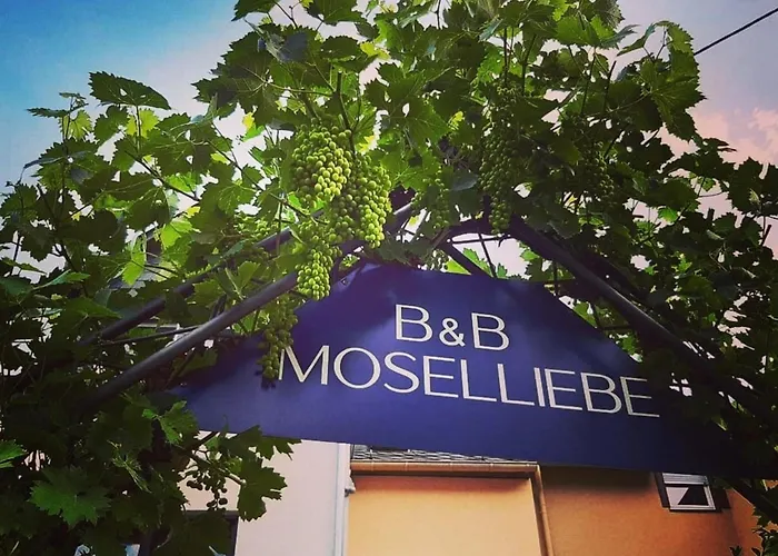 App 4 Pers 2 Schlafzimmer Mit Eigenen Badezimmer 2 Balkonen Alle Mit Moselblick